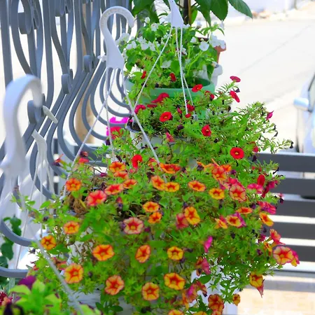 Apartament Mimoza Saranda
