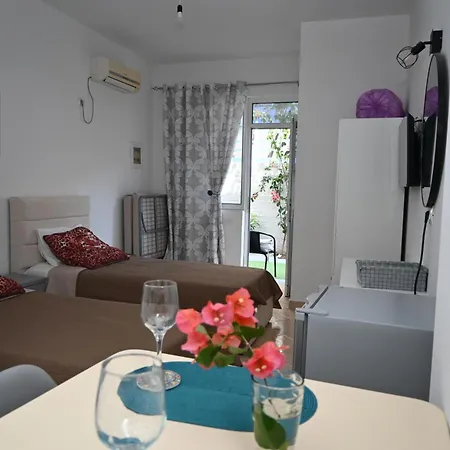 Apartman Mimoza *