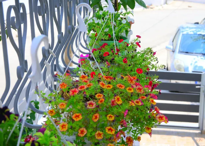 Apartament Mimoza Saranda